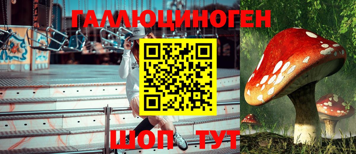 Псилоцибиновые грибы ЛСД Нальчик