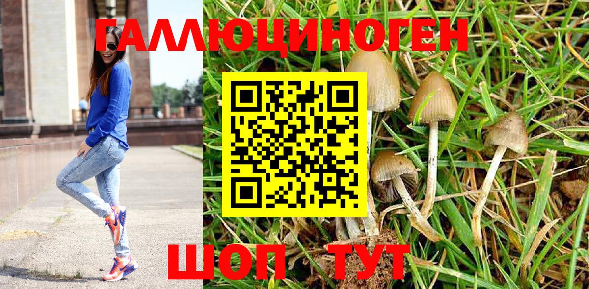 Псилоцибиновые грибы Magic Shrooms  Галлюциногенные грибы мицелий  хочу   Нальчик  Вход с VPN 